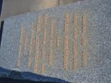 image of grave number 930106